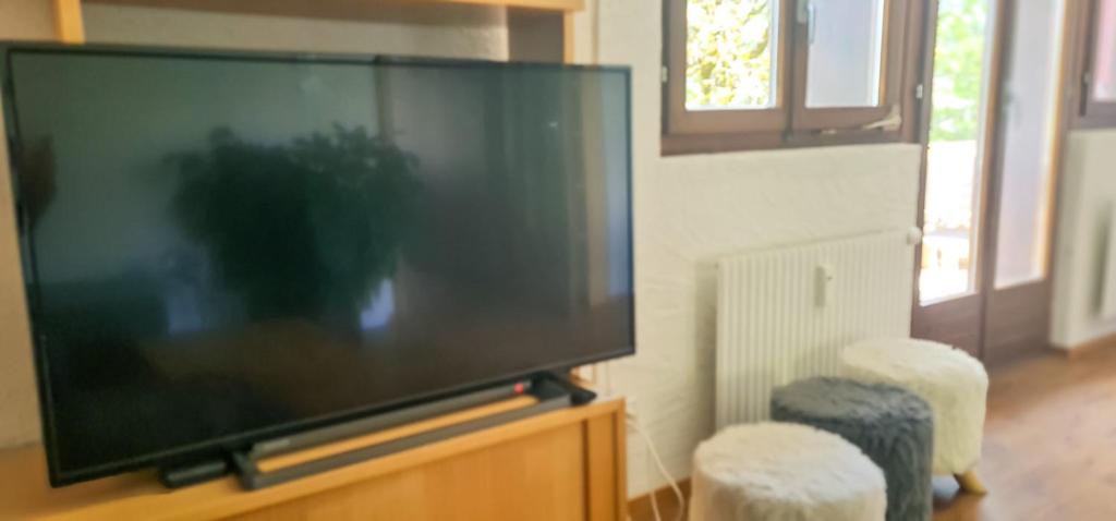 Bussalp Apartment - Aare Jungfrau AG