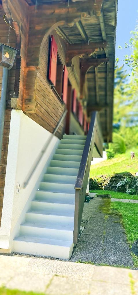 Bussalp Apartment - Aare Jungfrau AG
