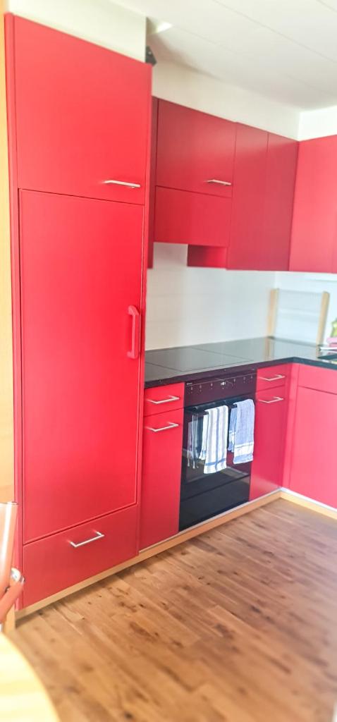 Bussalp Apartment - Aare Jungfrau AG