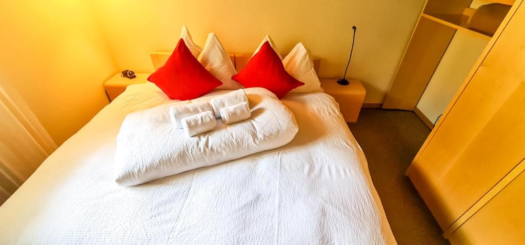 Bussalp Apartment - Aare Jungfrau AG