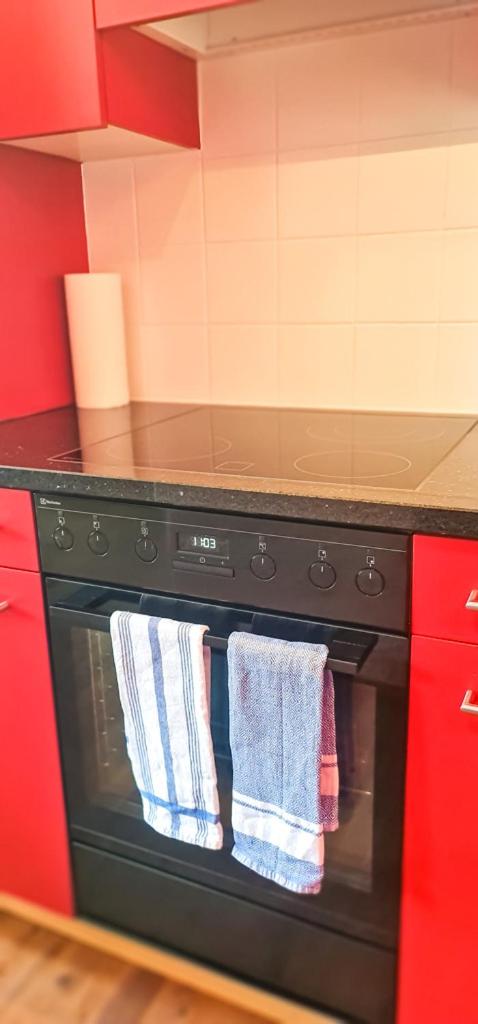 Bussalp Apartment - Aare Jungfrau AG