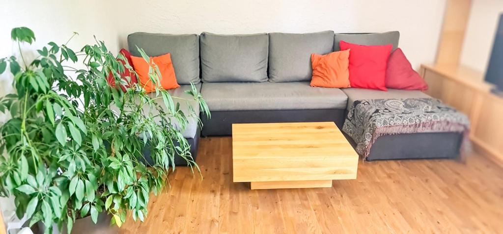 Bussalp Apartment - Aare Jungfrau AG