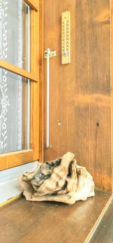 Bussalp Apartment - Aare Jungfrau AG
