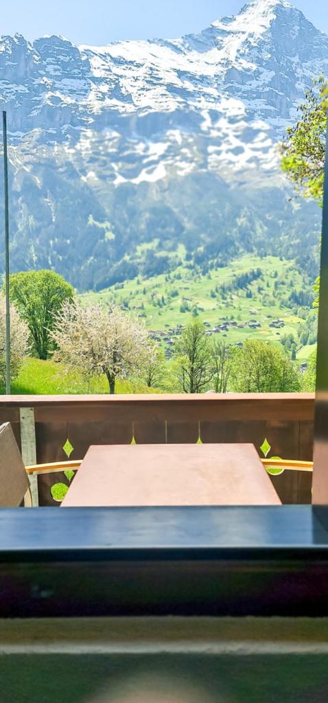 Bussalp Apartment - Aare Jungfrau AG