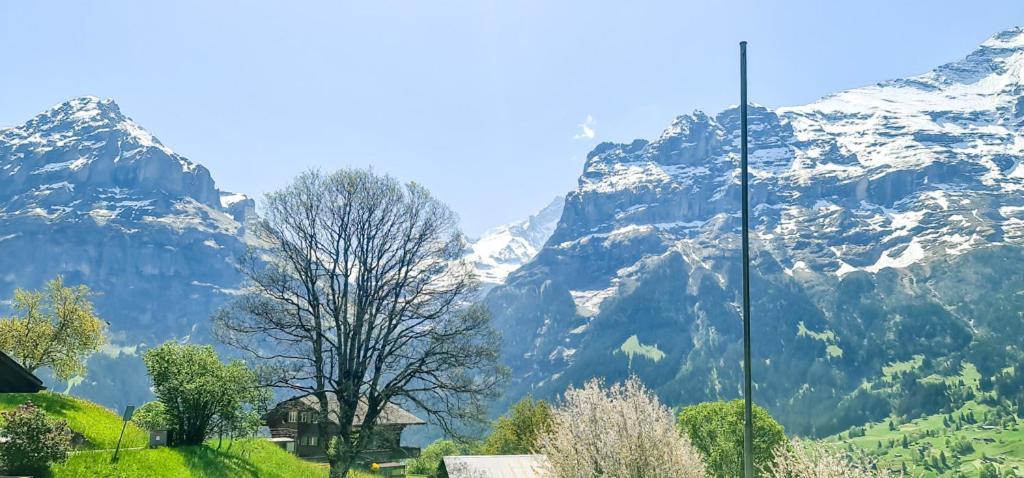 Bussalp Apartment - Aare Jungfrau AG