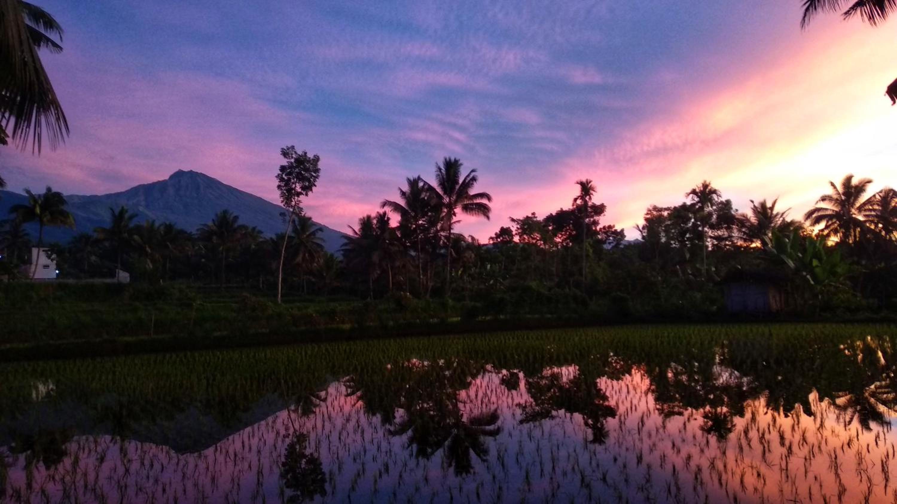 Alfarizi homestay