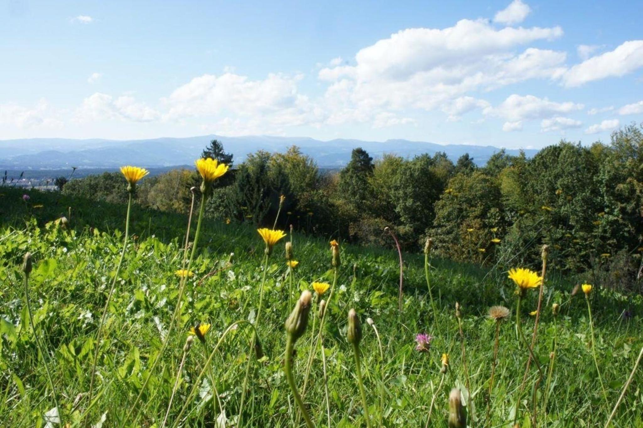 Landloft