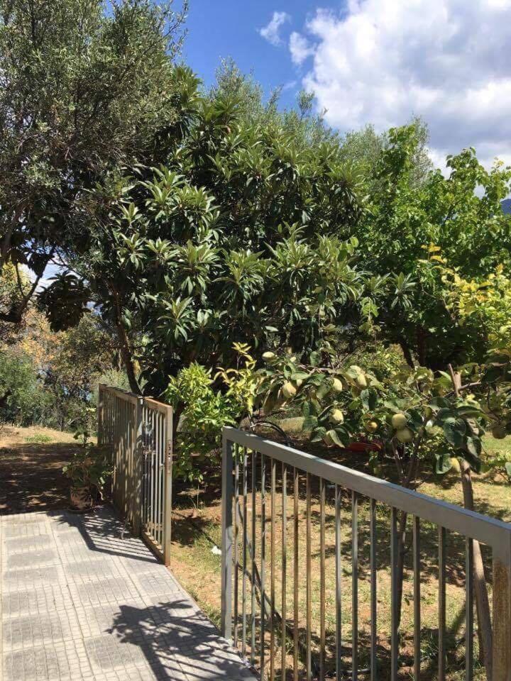 Casa Avia Olive photo 4