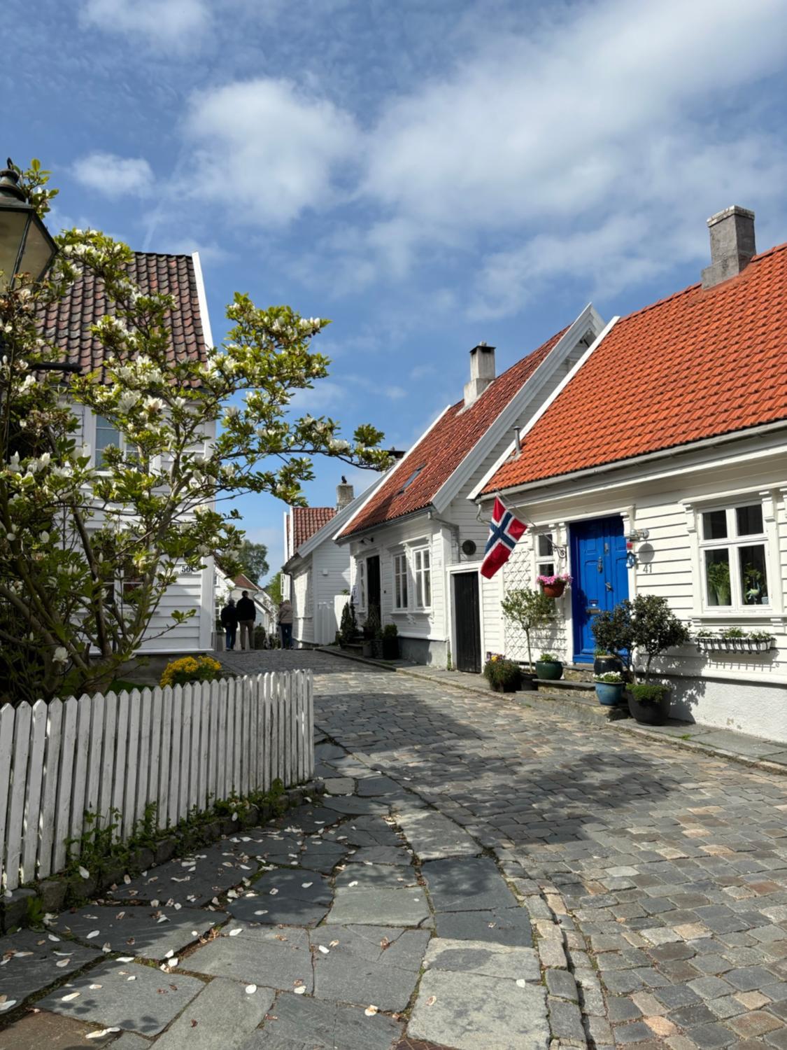Romslig og velutstyrt leilighet i gamle Stavanger view 4