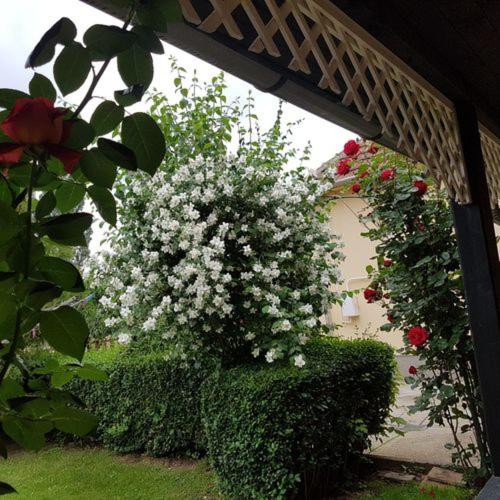 Iskolakert Apartman