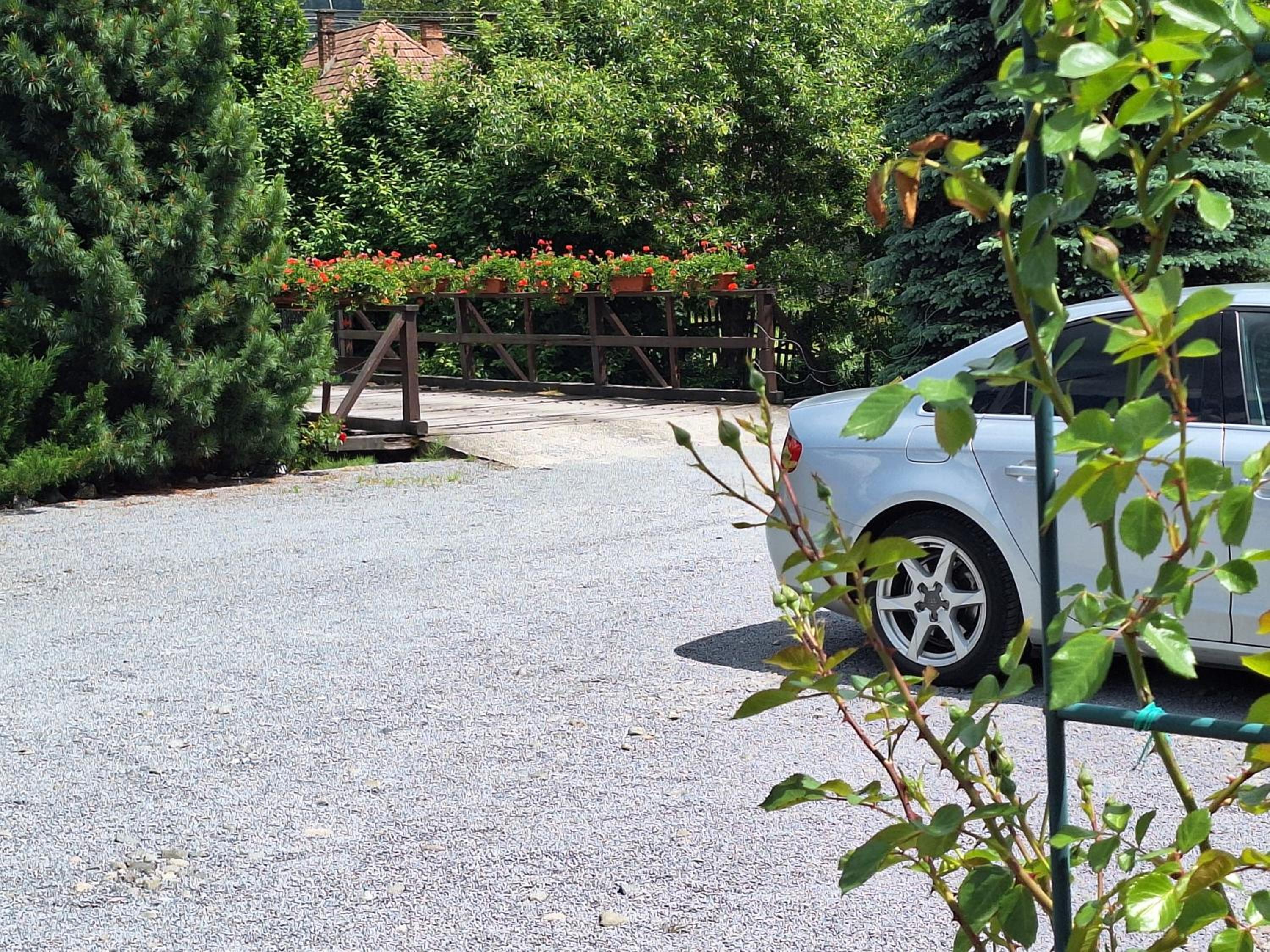 Photo 40