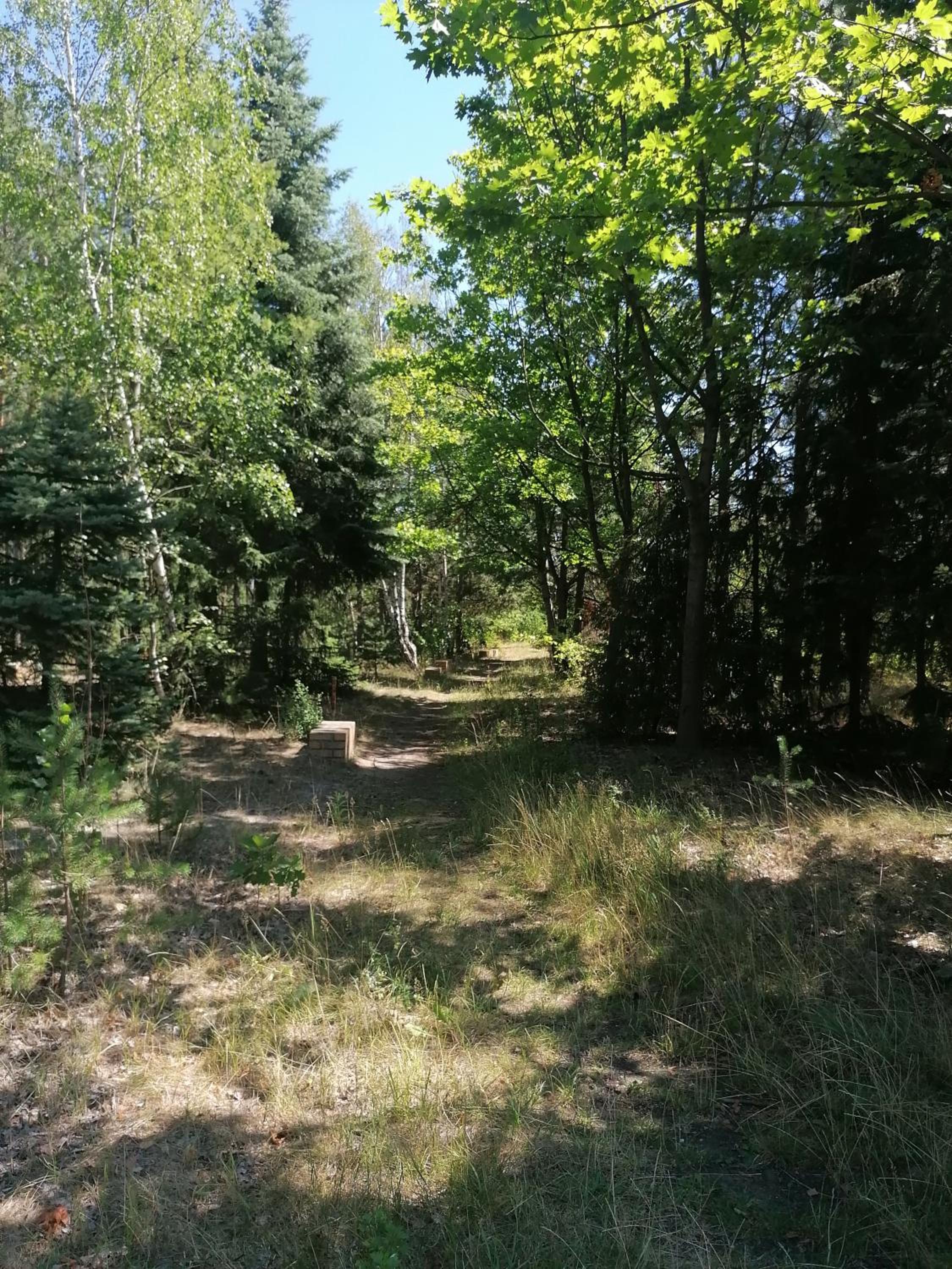 Ferienwohnung GNUBBEL am Wald