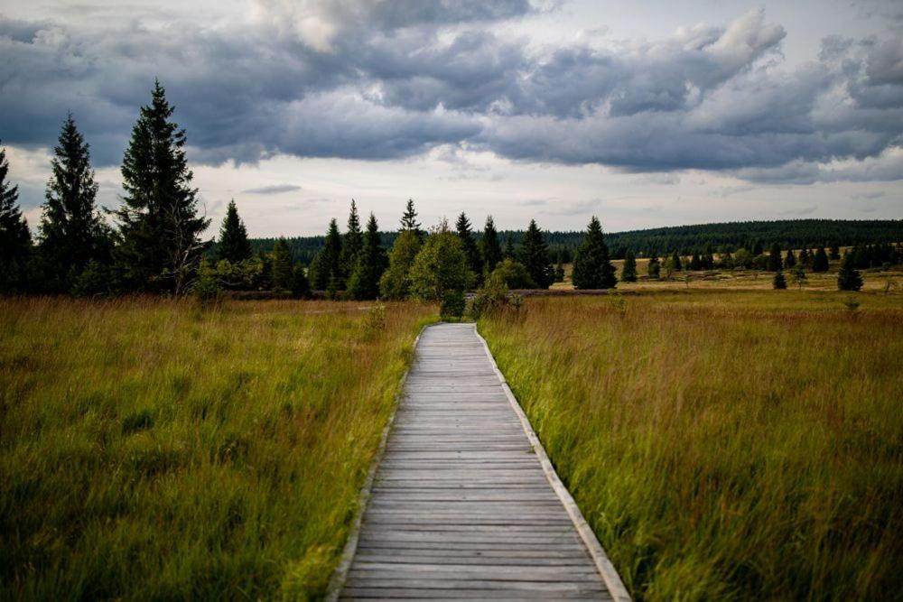 Apartmán Krušné hory - Erzgebirge