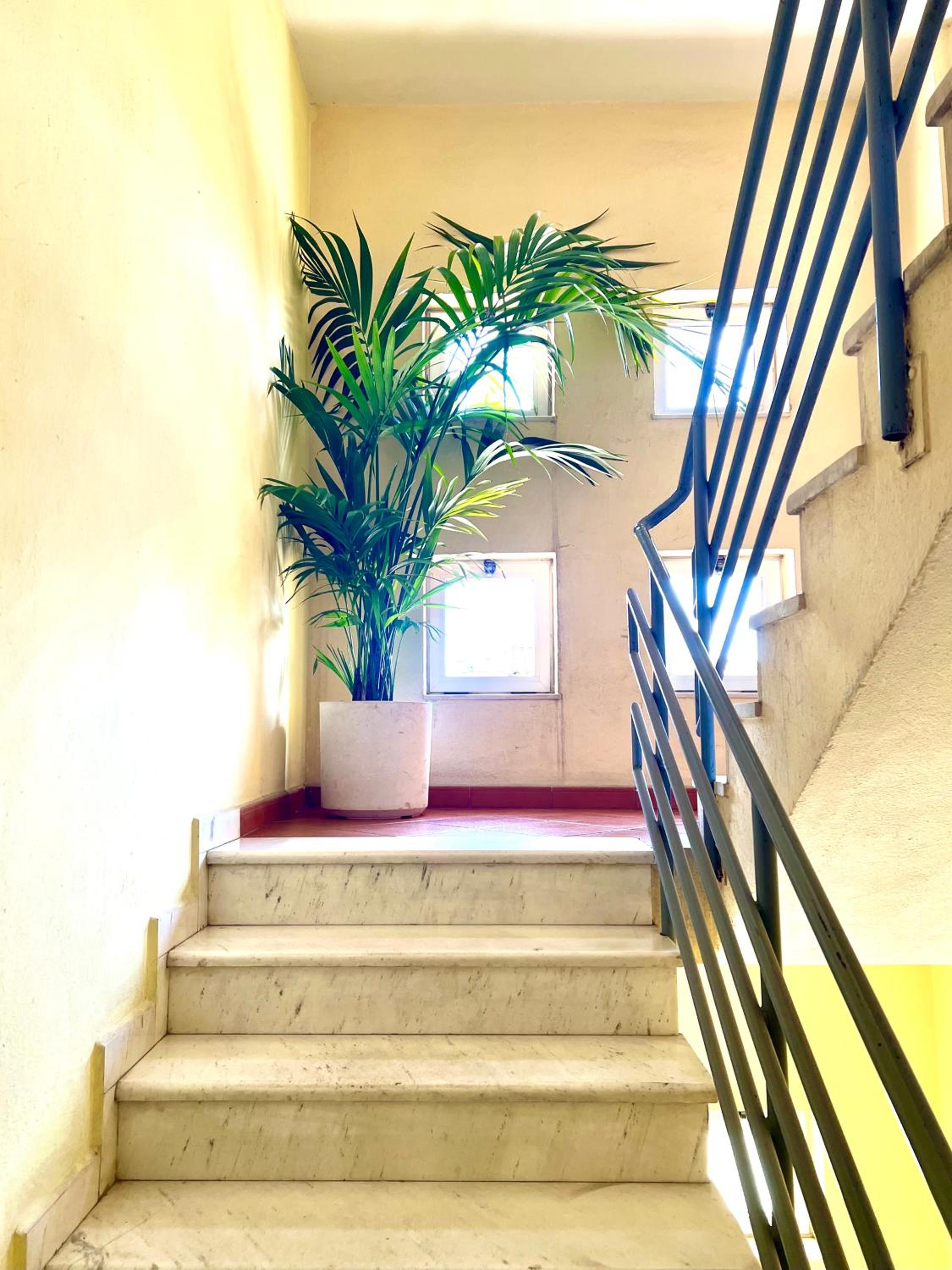 Elda Yellow Palace, Pazari i Ri Apartments