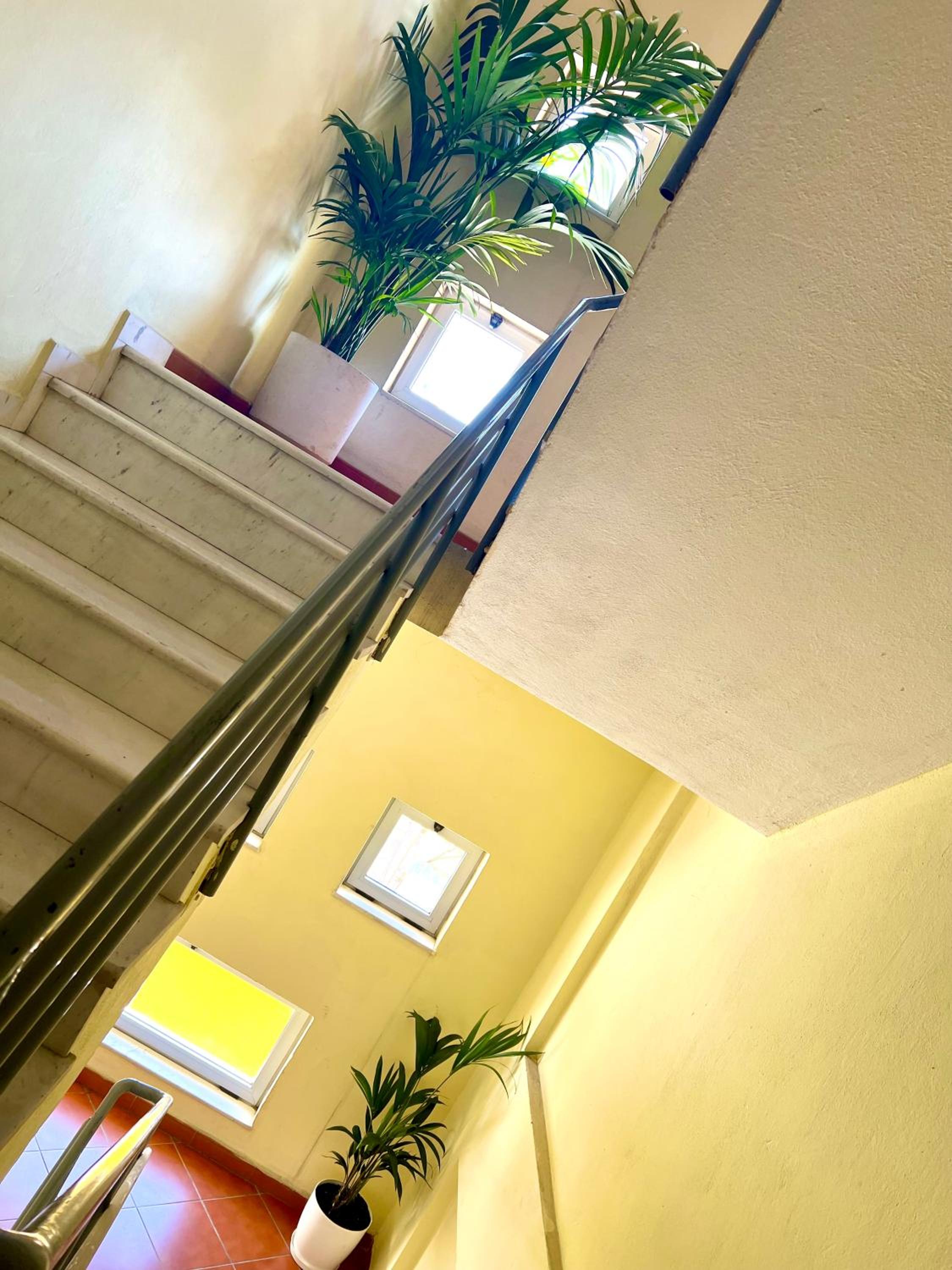 Elda Yellow Palace, Pazari i Ri Apartments