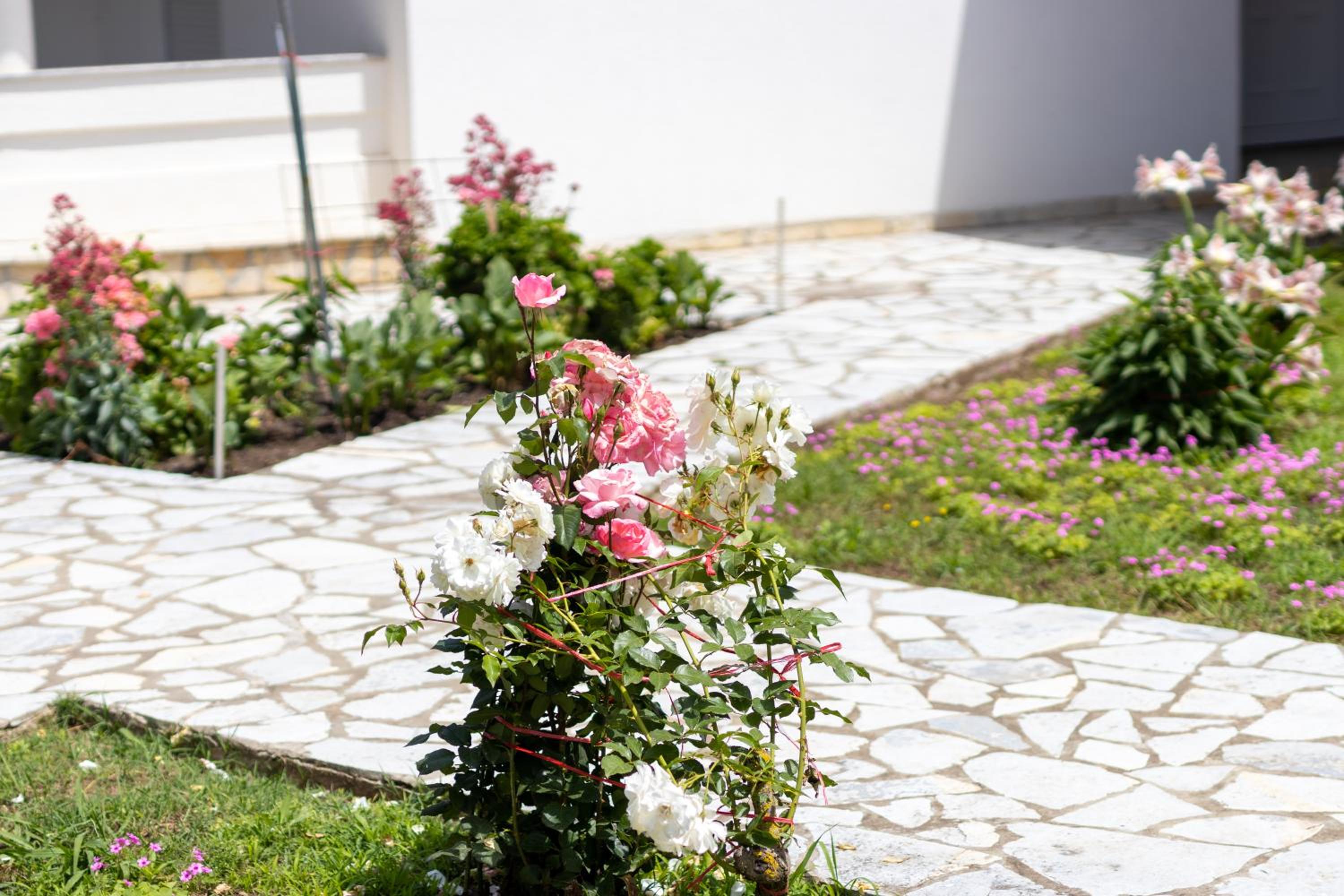 Tomi Guesthouse