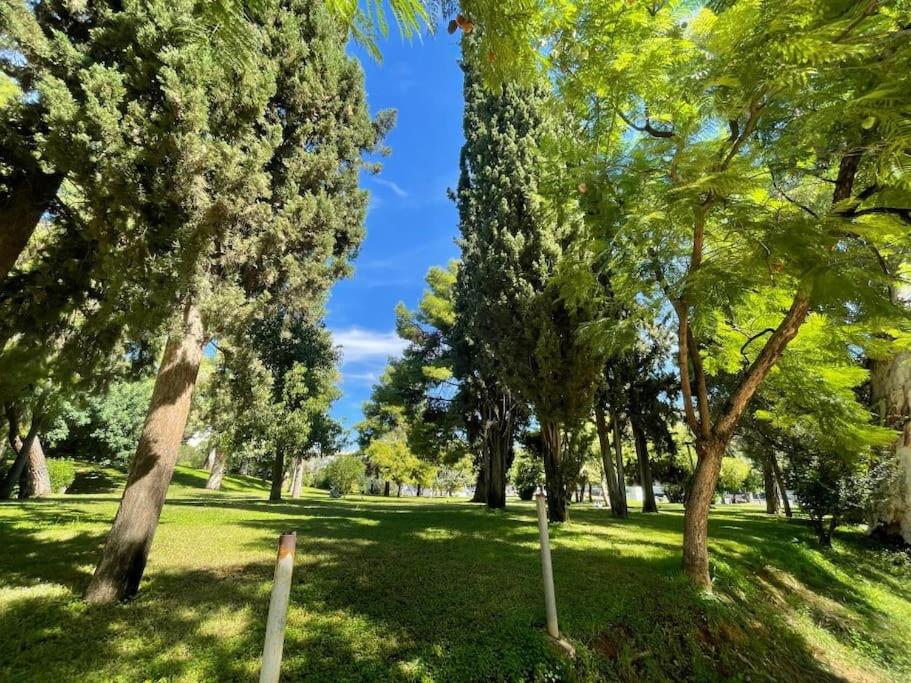 The Green Athenian luxury Flat