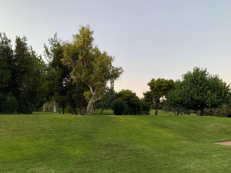 The Green Athenian luxury Flat