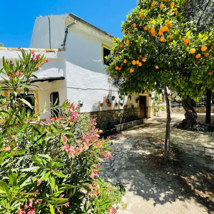 Casa Rural Privada Belén