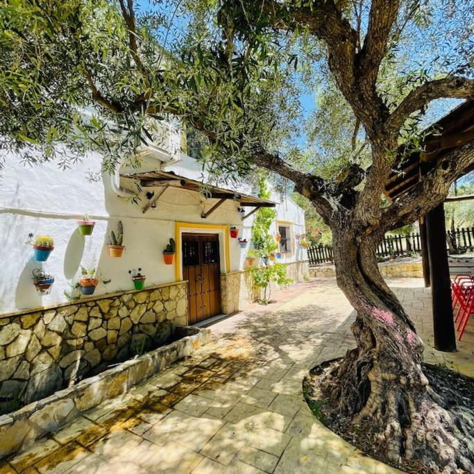 Casa Rural Privada Belén