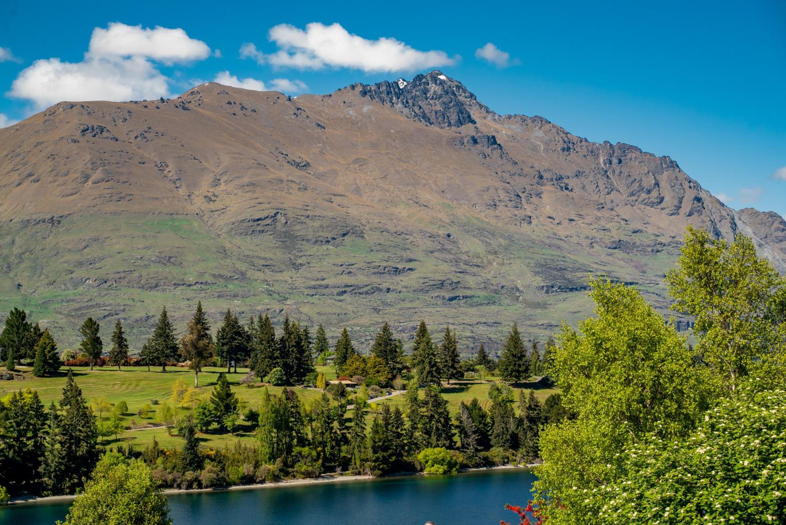 Modern Executive Living in Pounamu