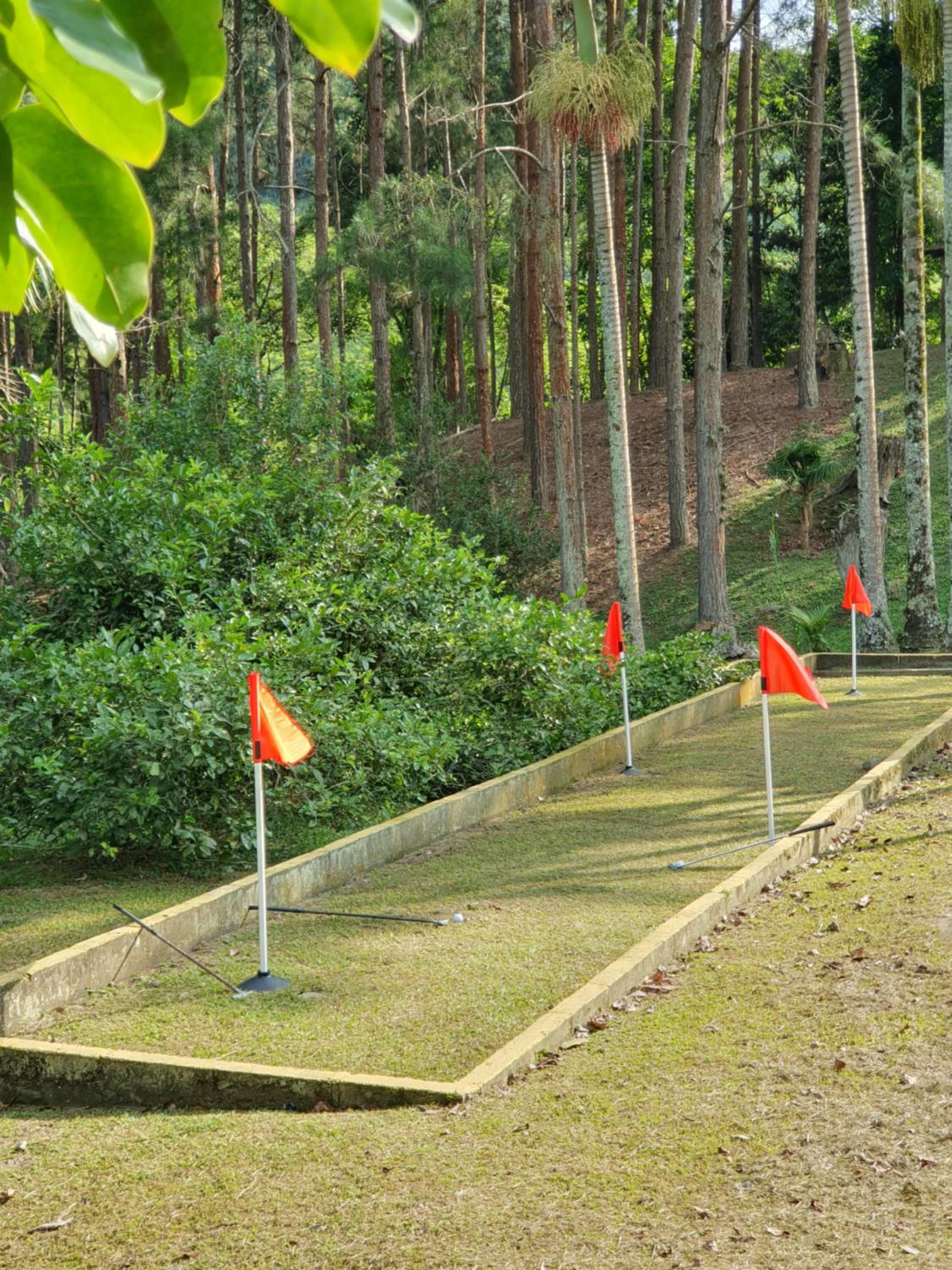 Photo 43