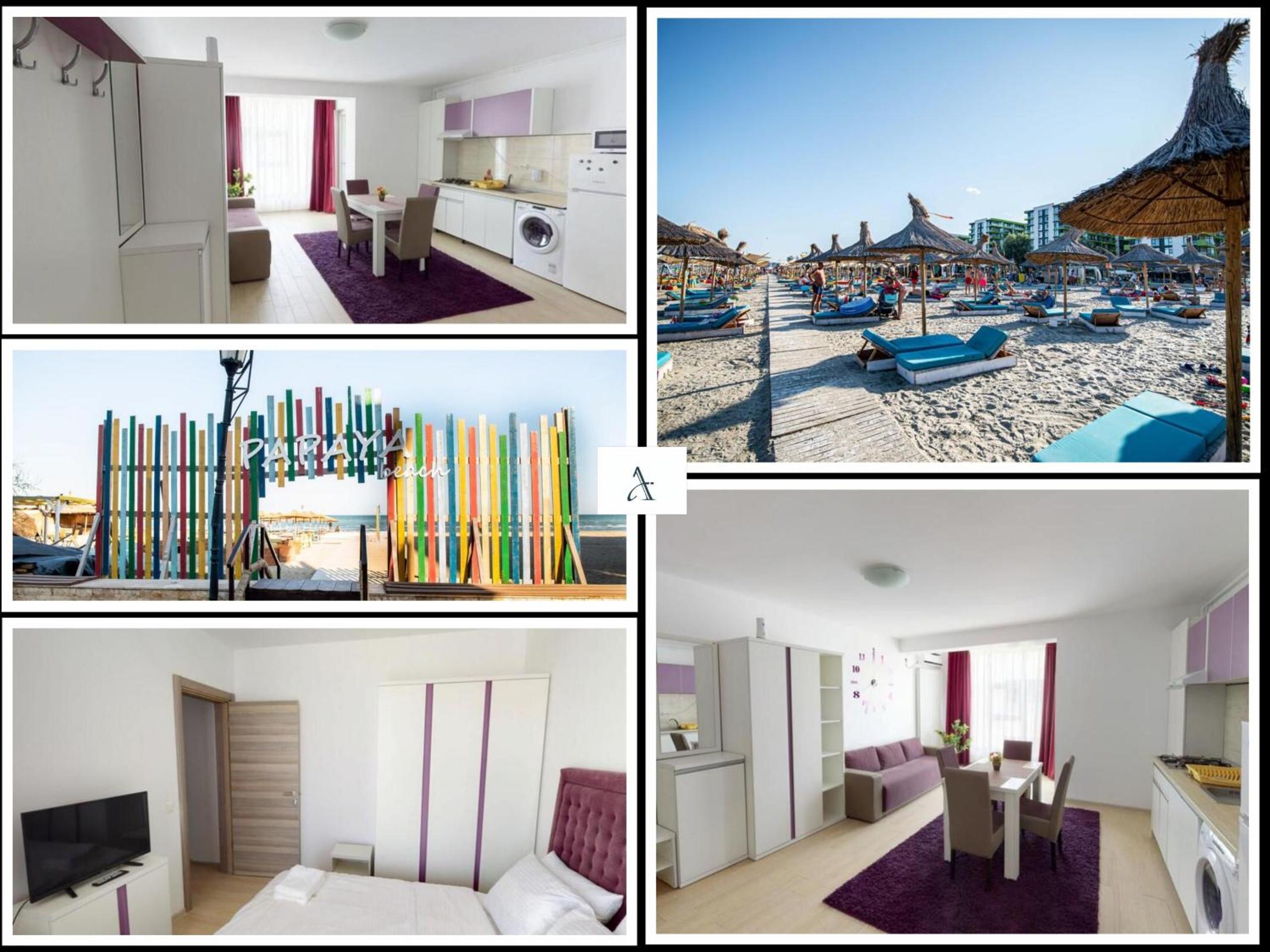 Papaya Apartment on the Seafront view 5