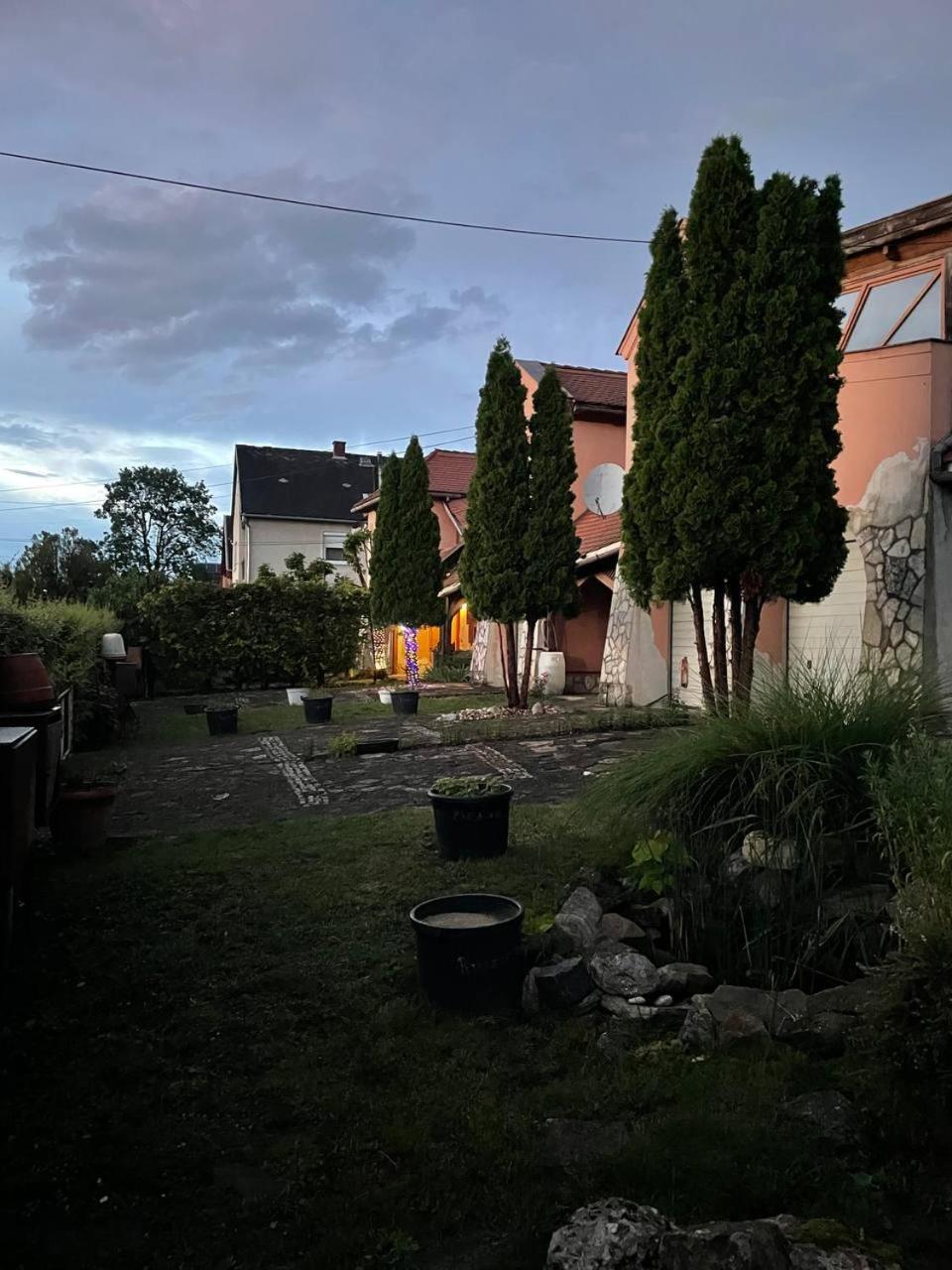 Photo 41