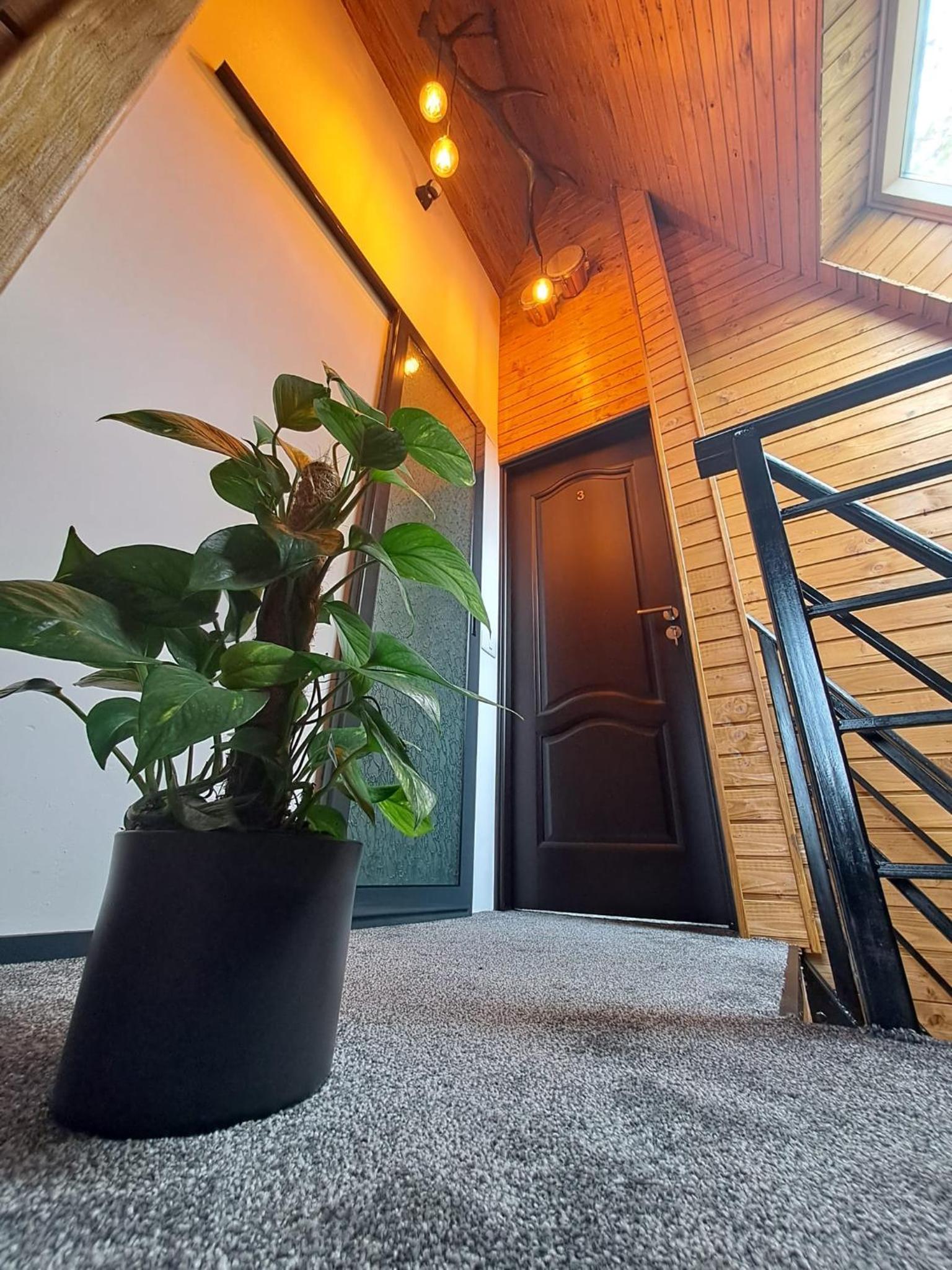 Cabană A-Frame Bran Chalet