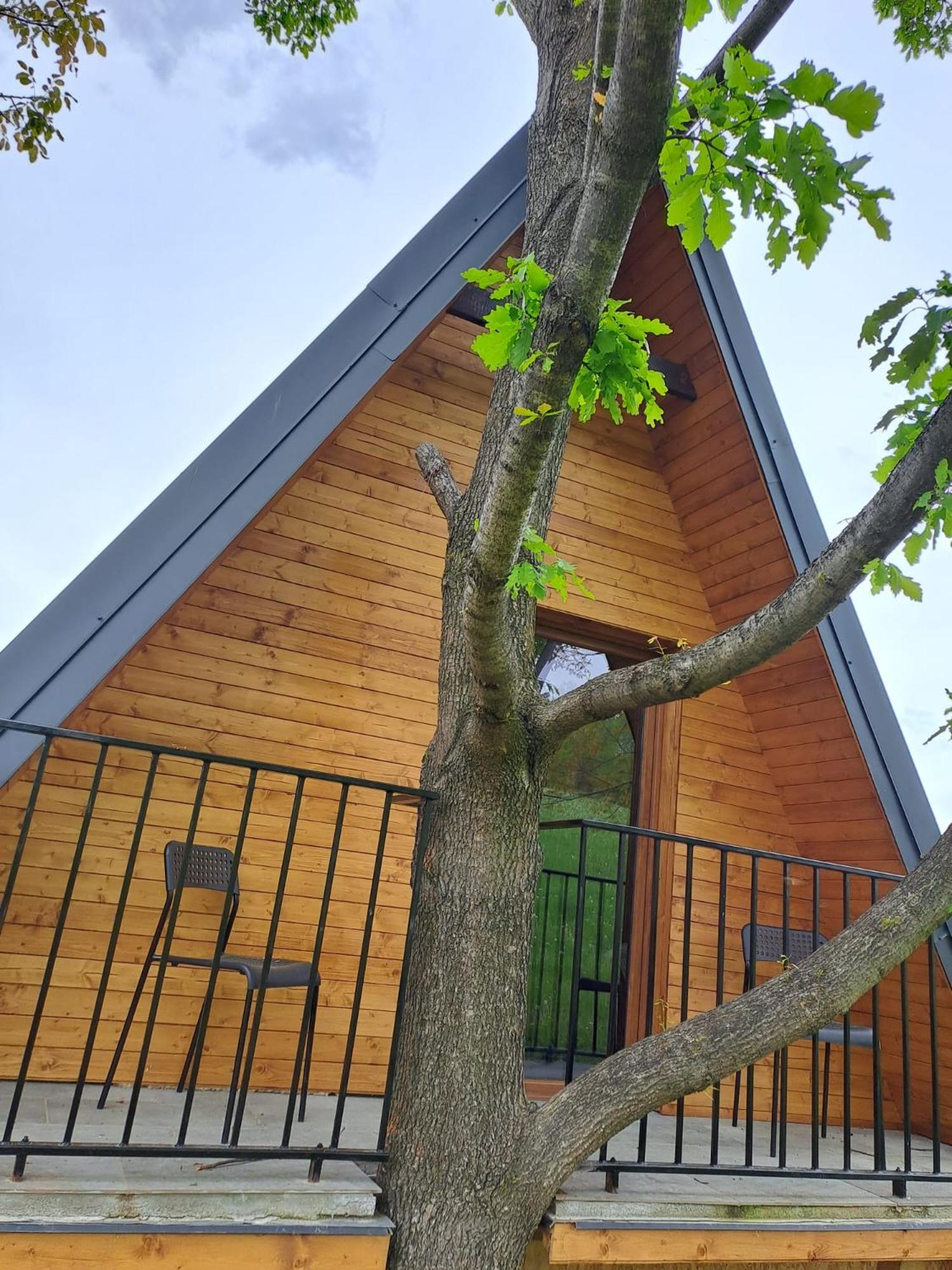 Cabană A-Frame Bran Chalet