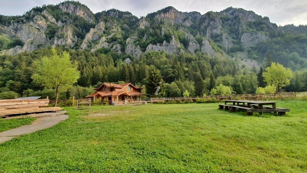 Wild Carpathian Retreat view 3