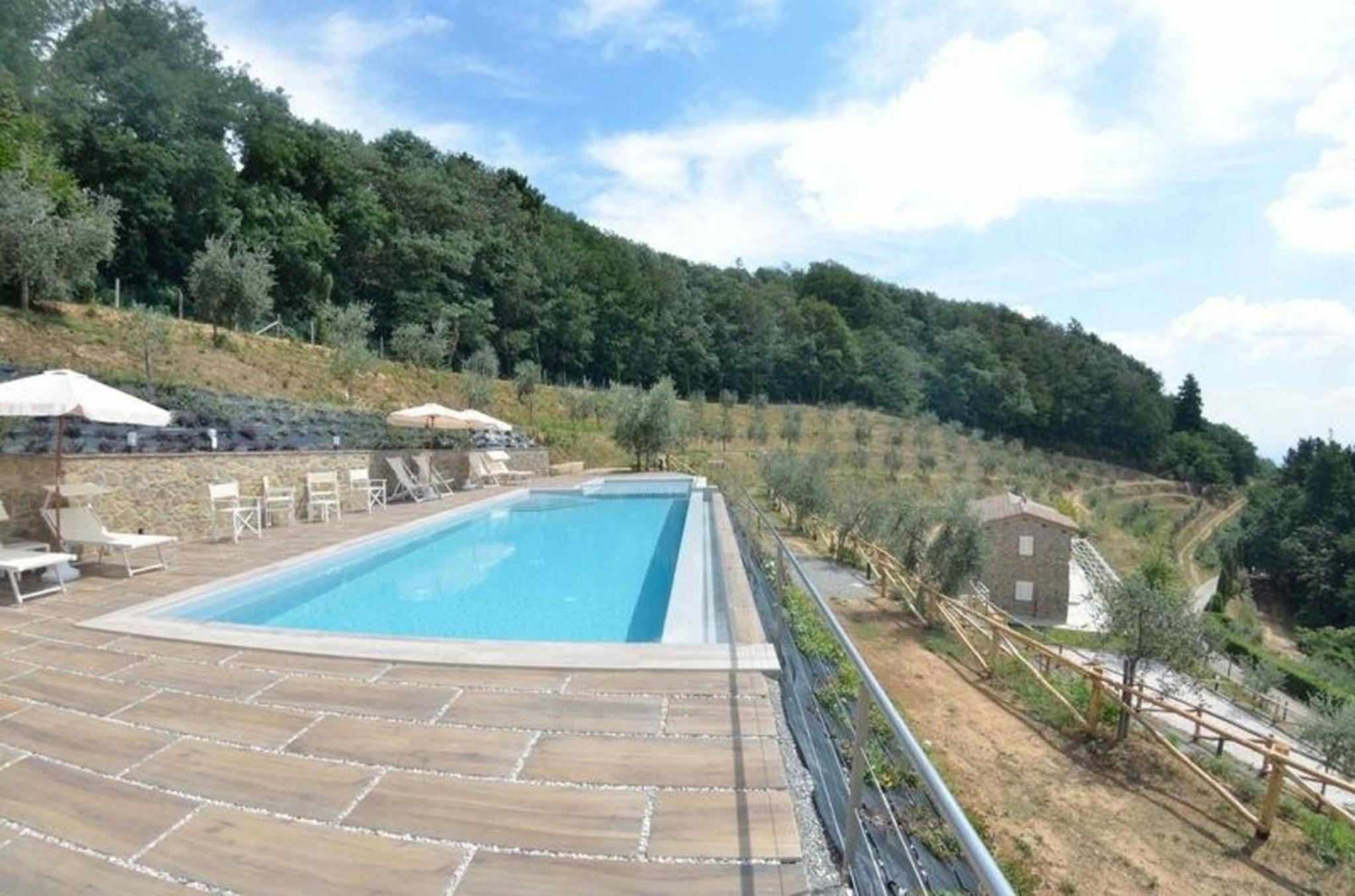 Ferienhaus mit Privatpool für 8 Personen ca 200 qm in Petrognano, Toskana Provinz Lucca view 5