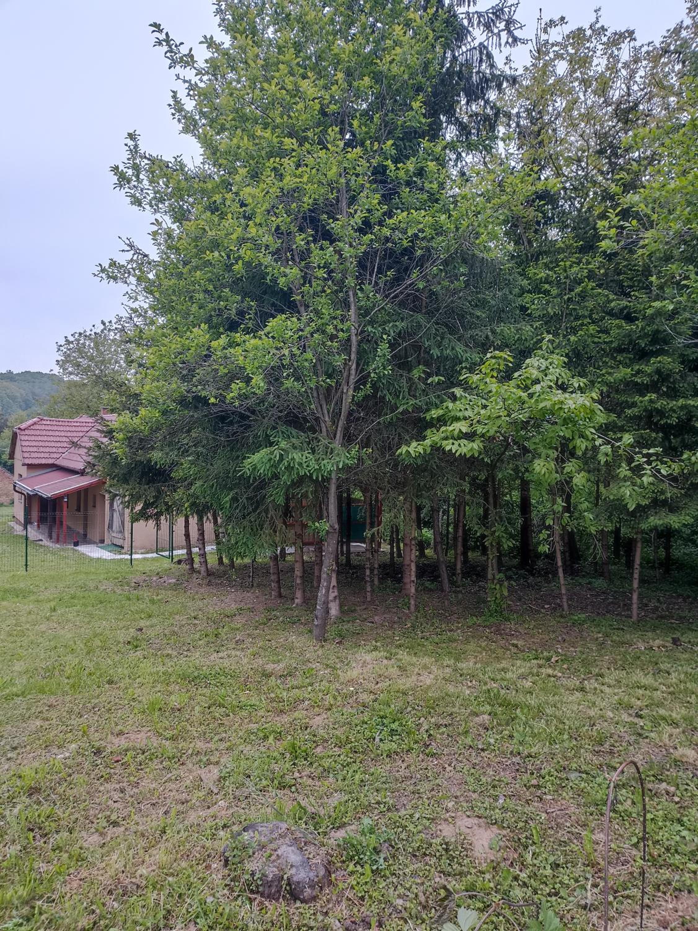 Őrségi Kuckó view 5