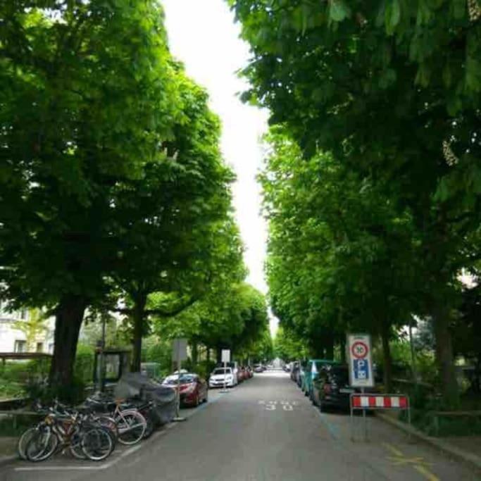 Quiet and bright near everything