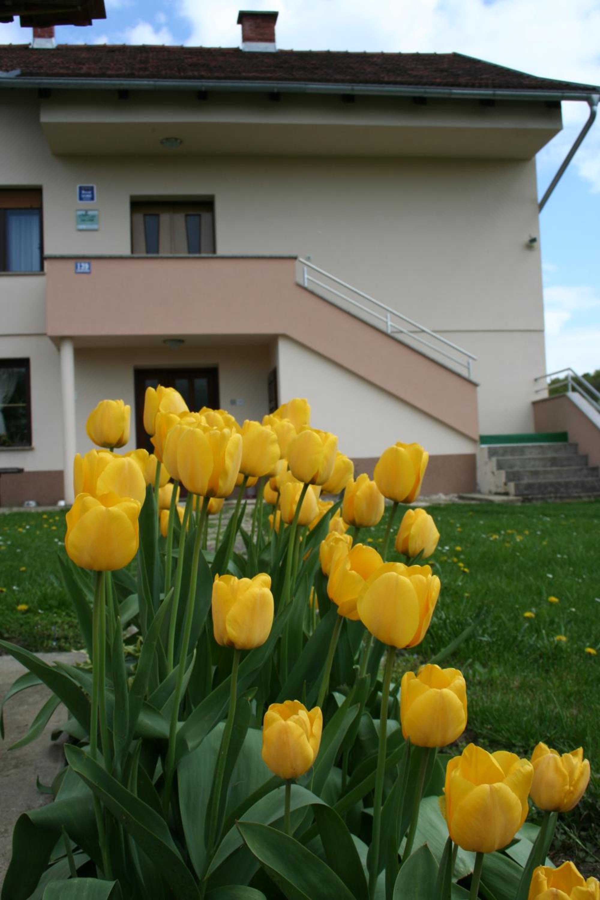 Apartman Arena view 4