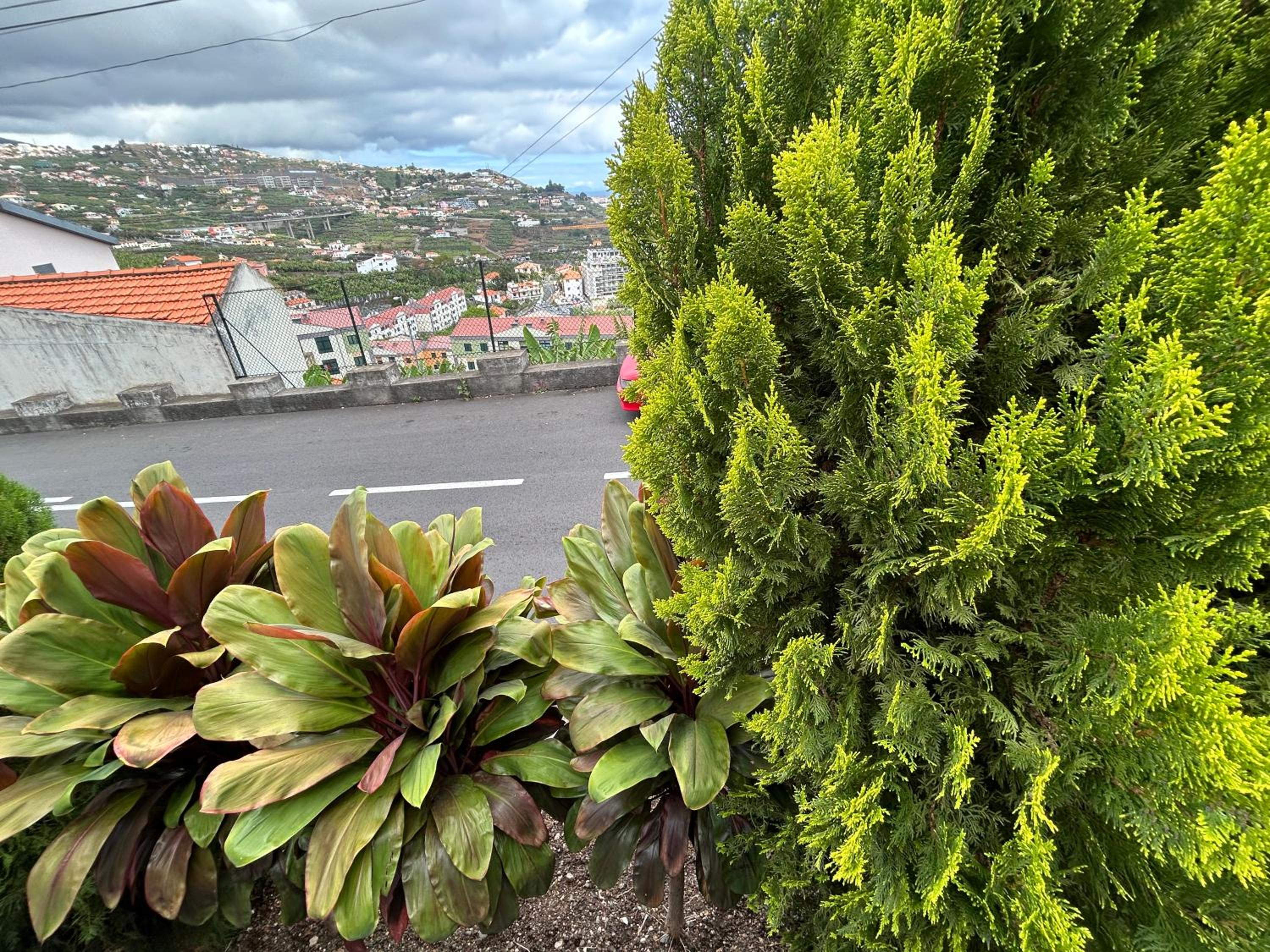 Photo 52