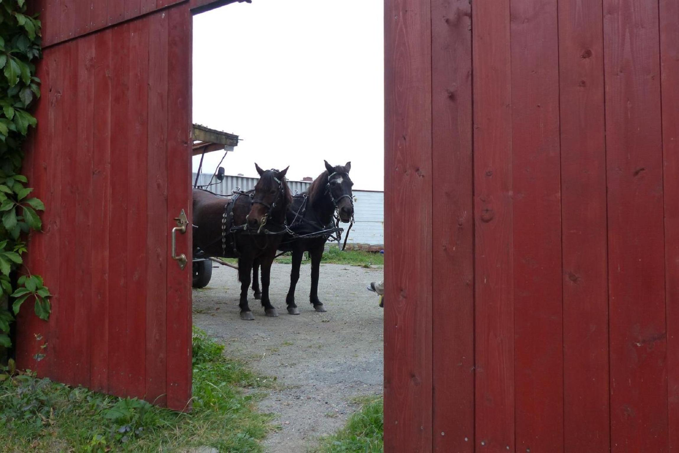 Ferienhof Näcke mit Flechtwerkstatt