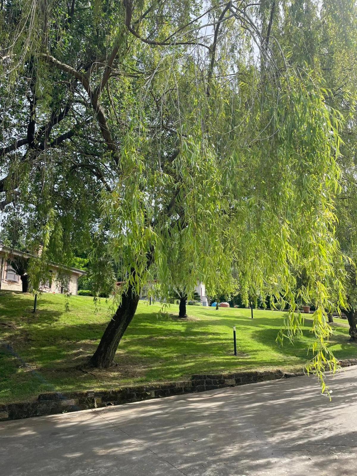 Casa Melody view 4