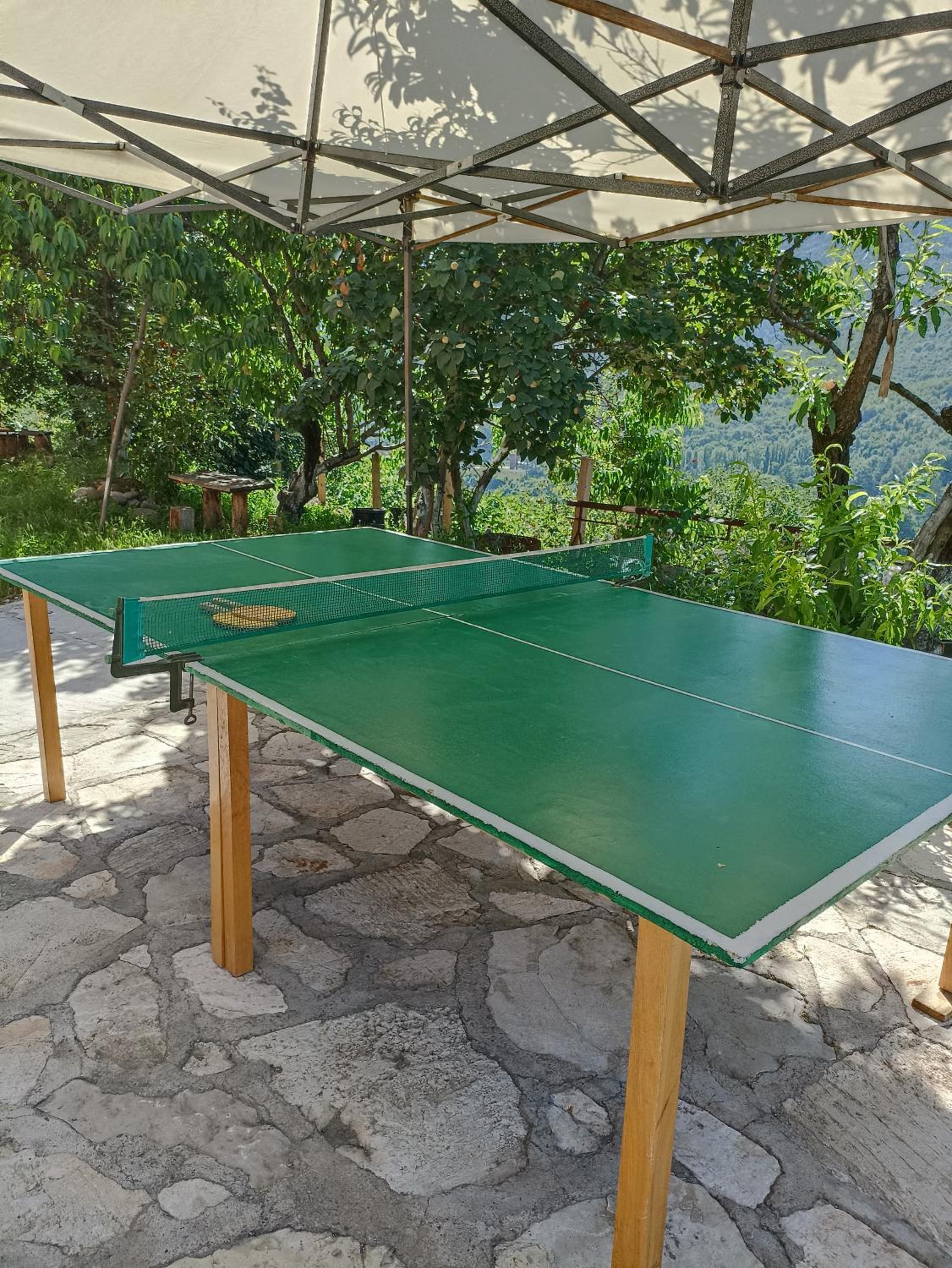 Green Paradise