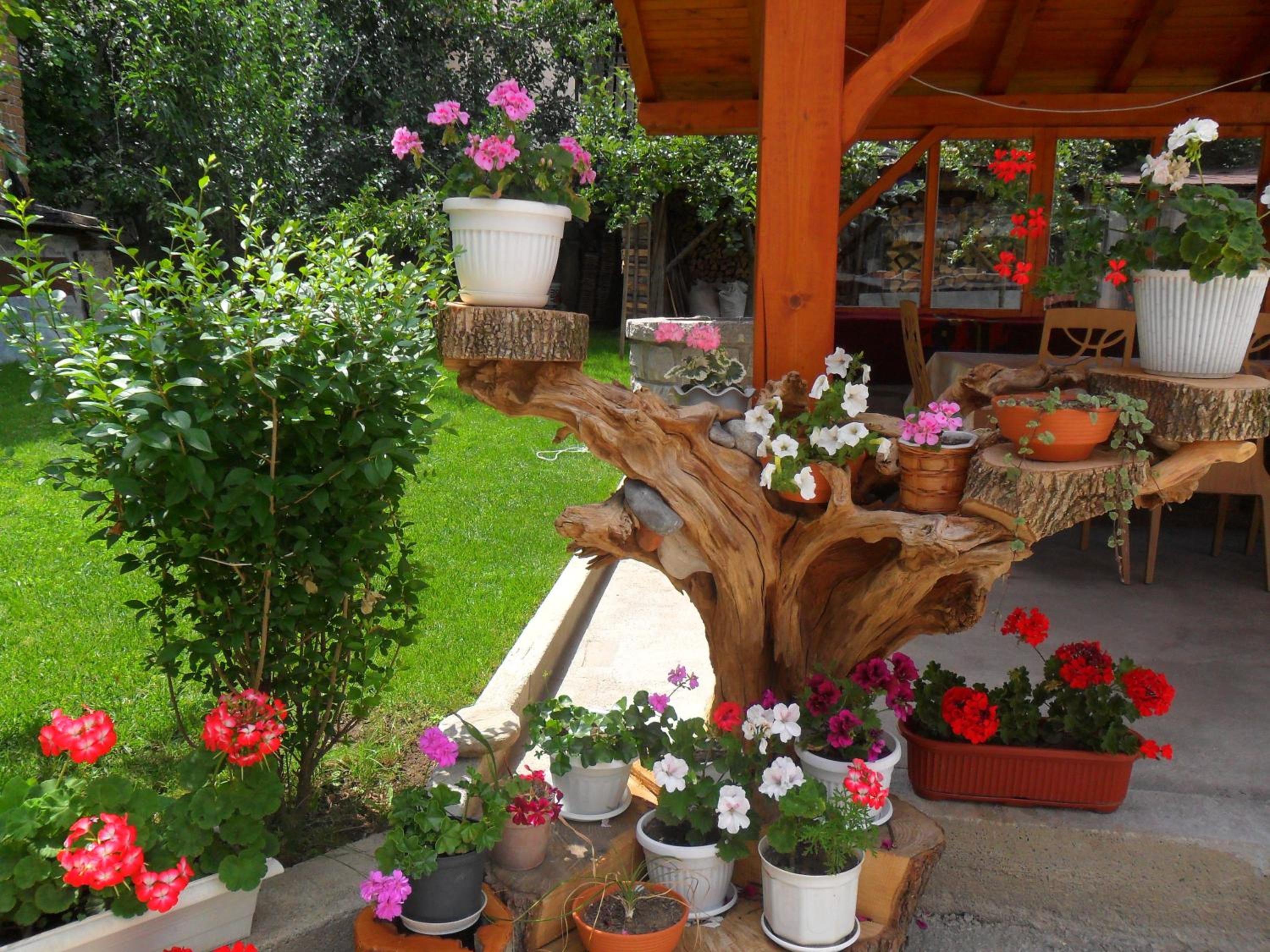 Vien Guest House
