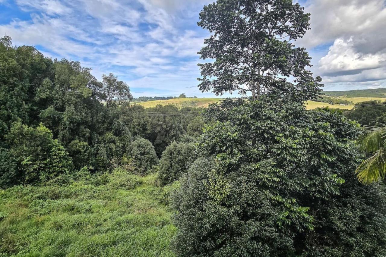 Byron Bay Hinterlands Dreaming Woods Cabin One
