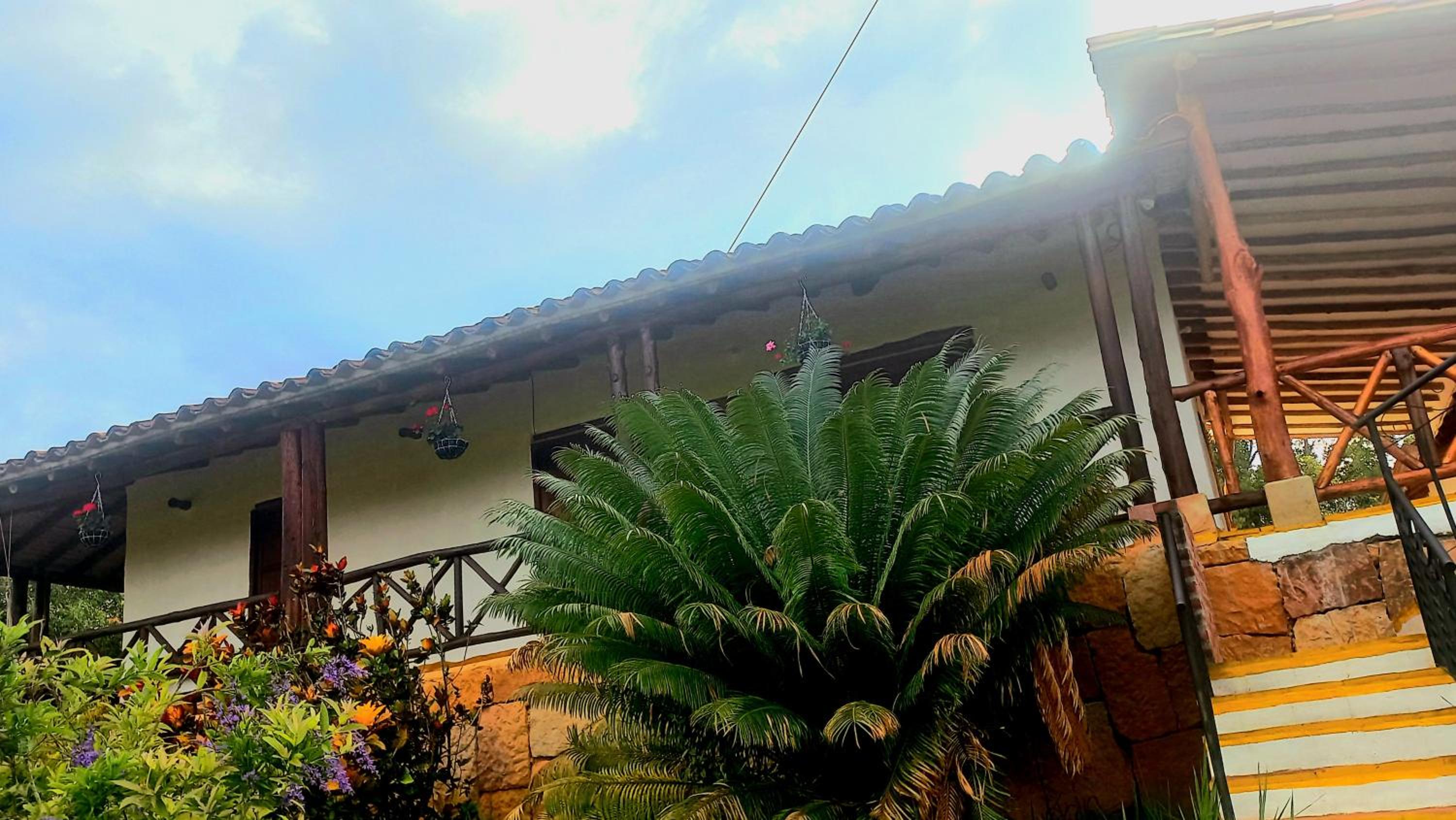 la primavera