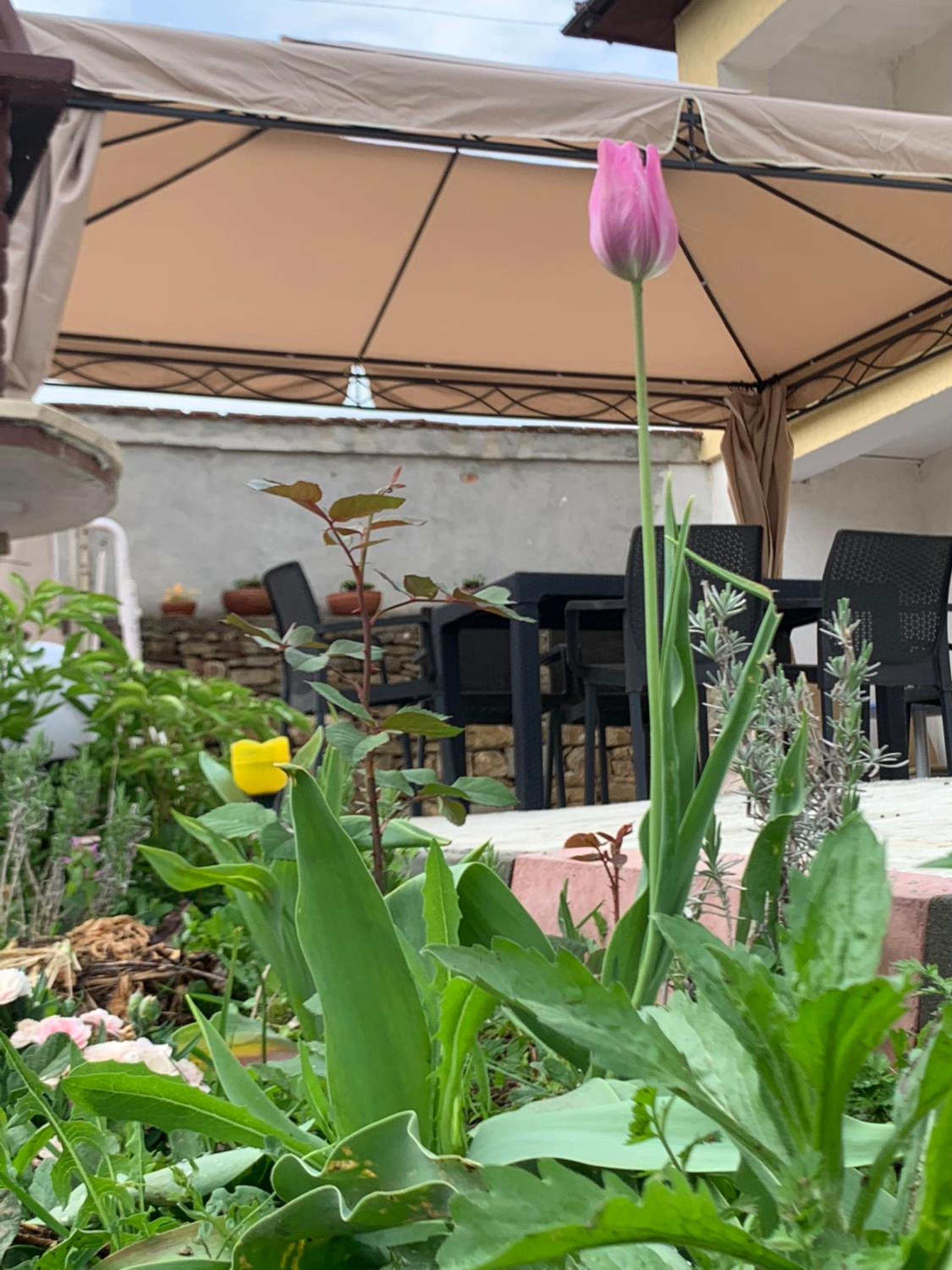 Lipite Guest House