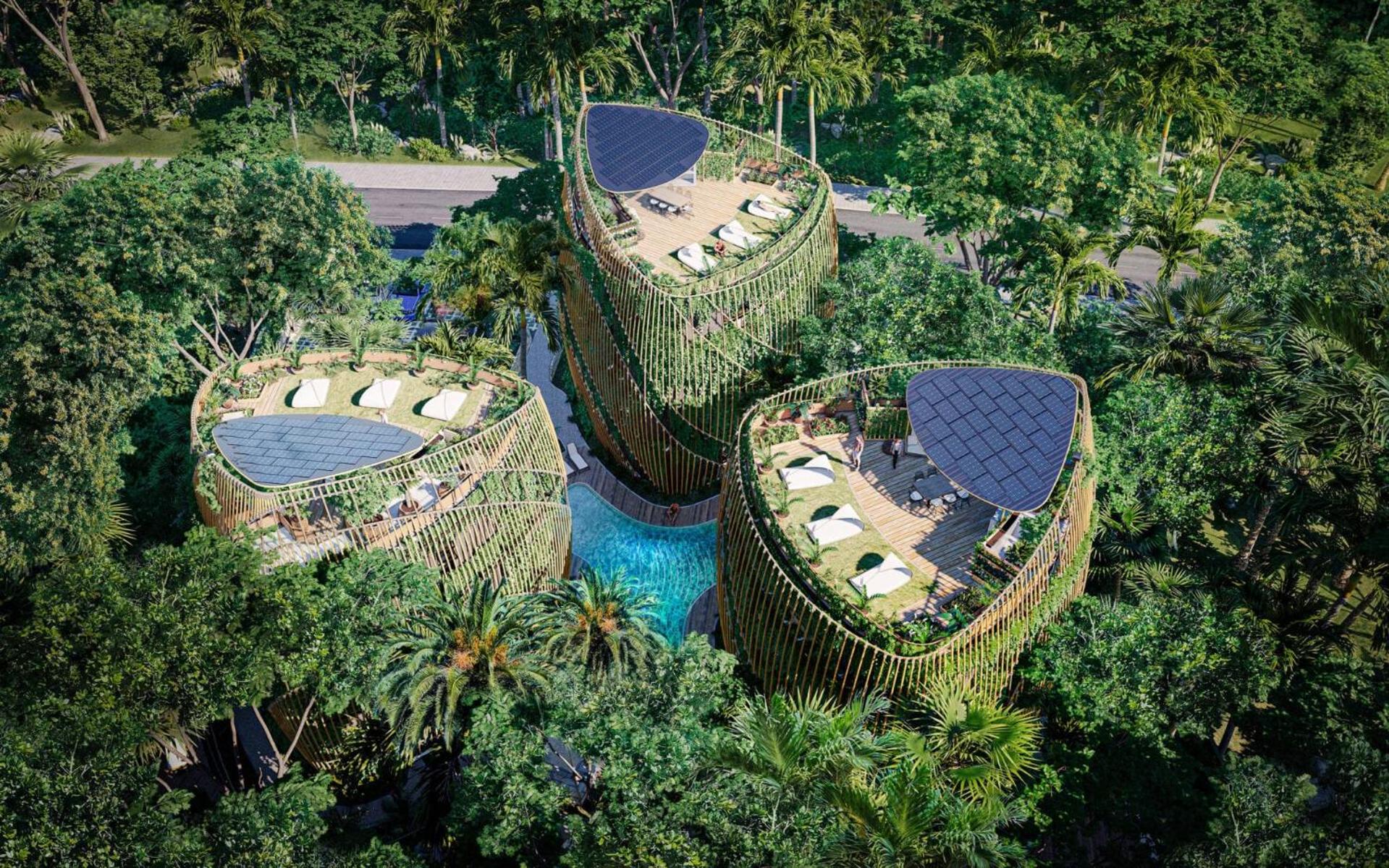 Living in the Noom by Andiani