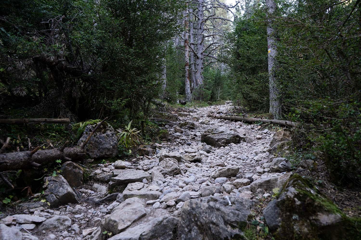 Racons del Pedraforca photo 3