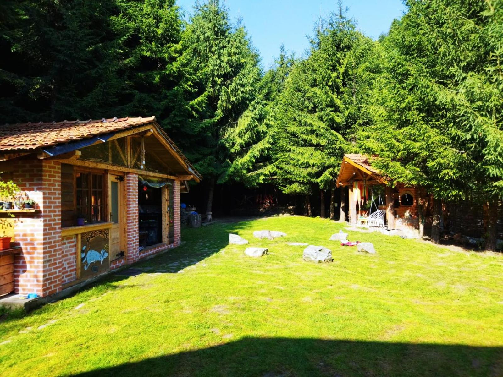 Cabana Frasin view 5