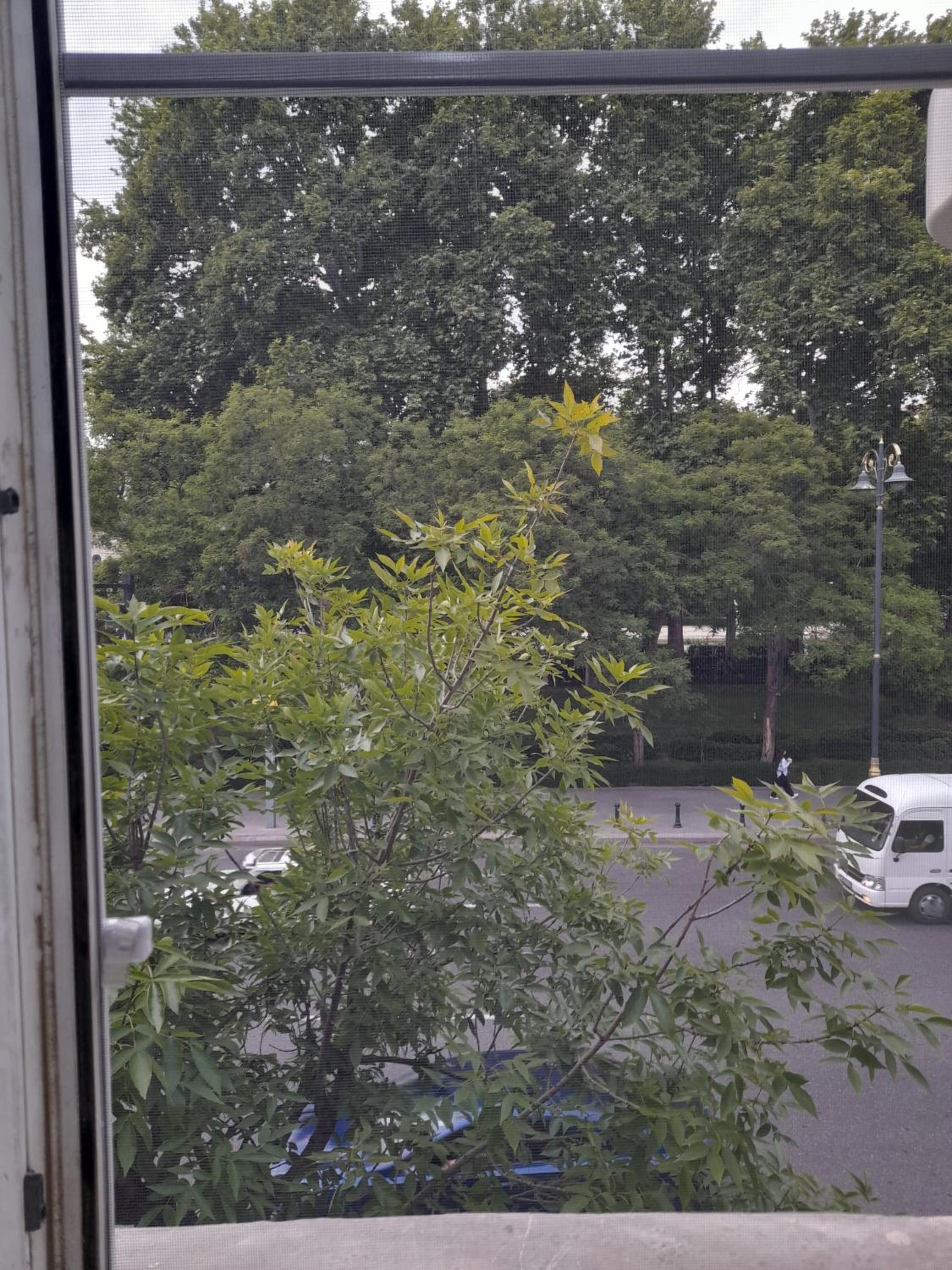 White City Hostel