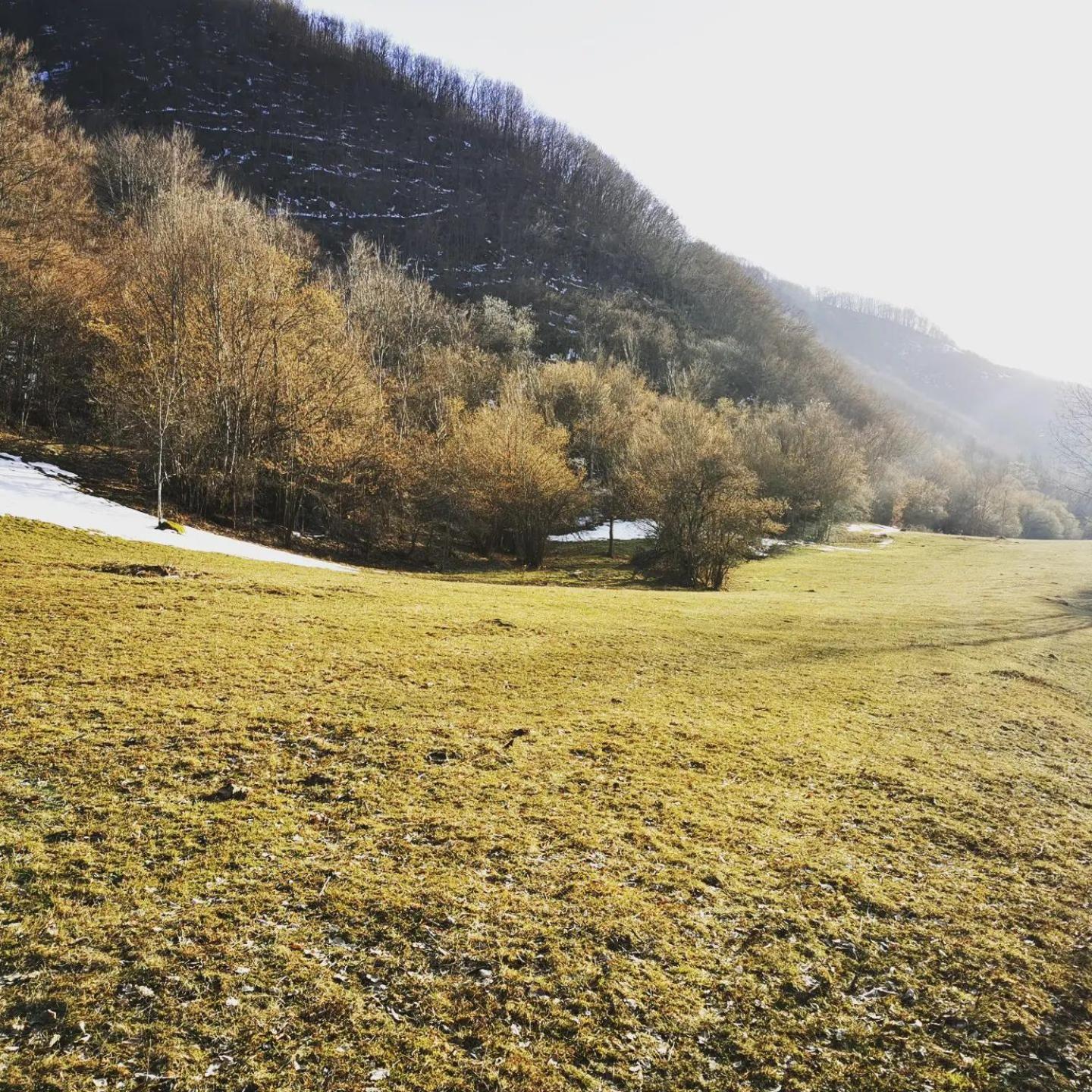 Temački amanet