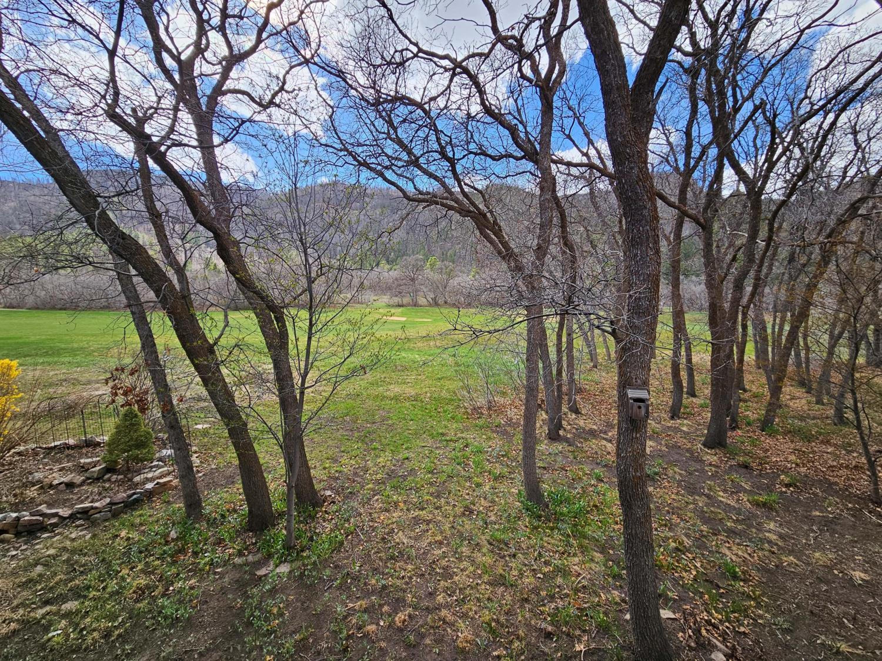 Tamarron Gambel Oak 783 view 2