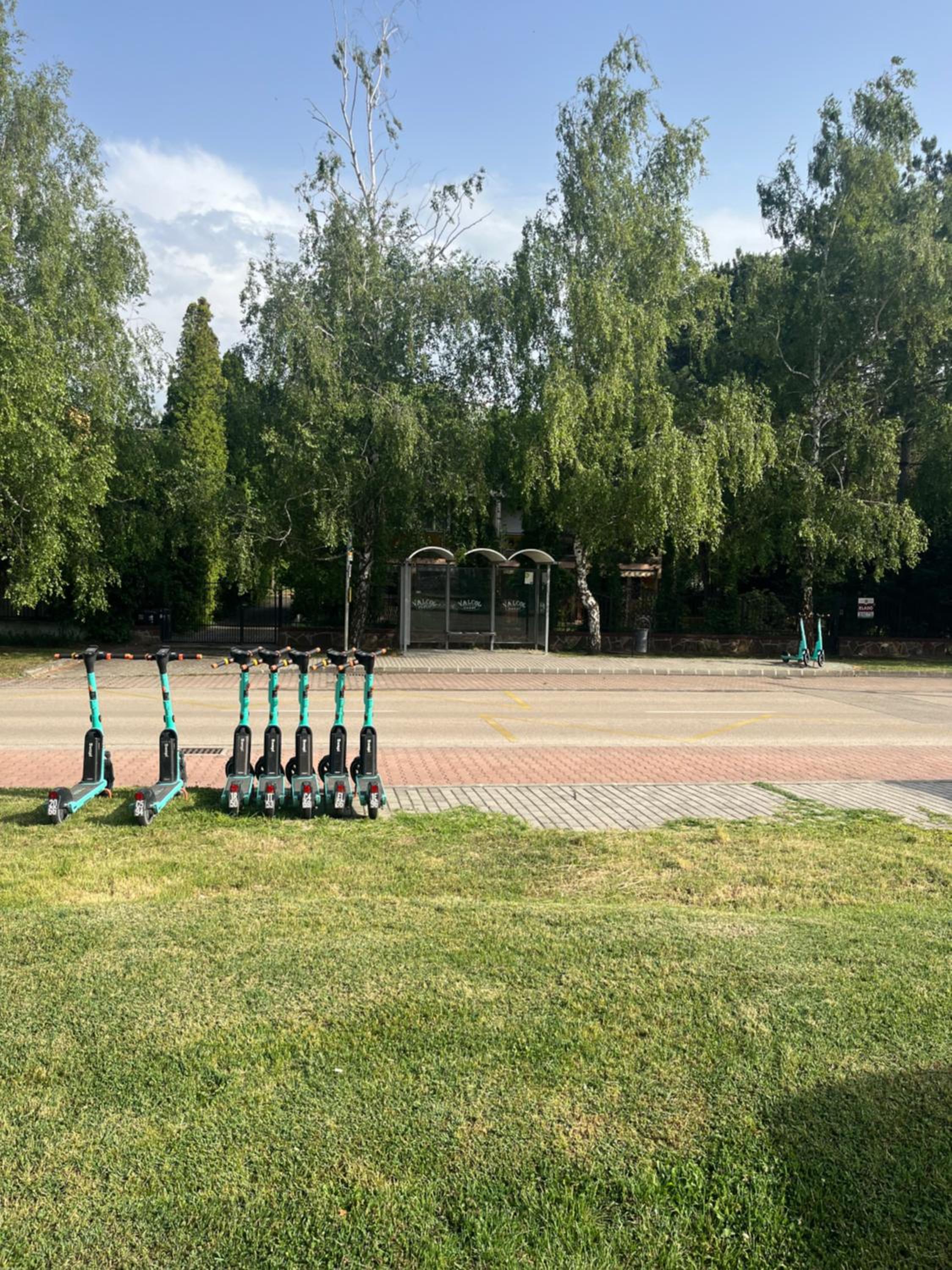 Photo 19